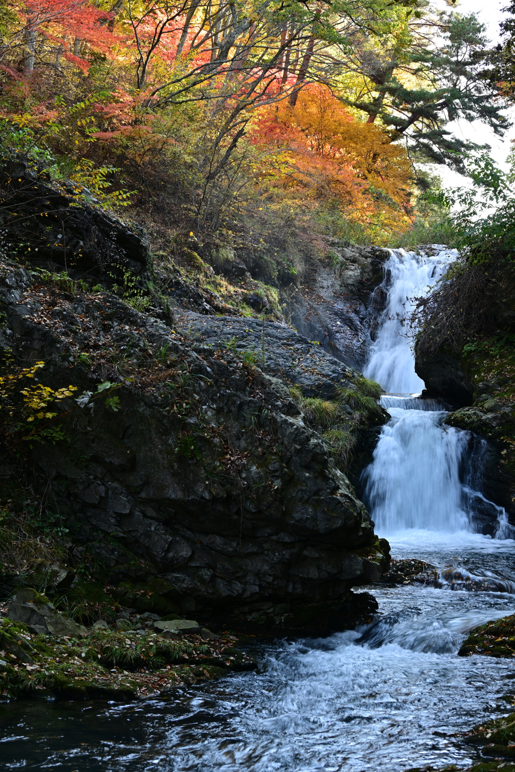 滝と紅葉。