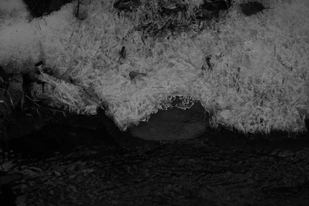 水路を遡って。