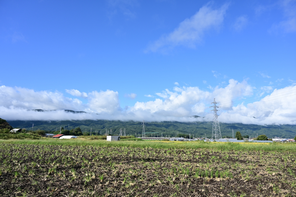 青空と山と田んぼ。