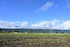 青空と山と田んぼ。