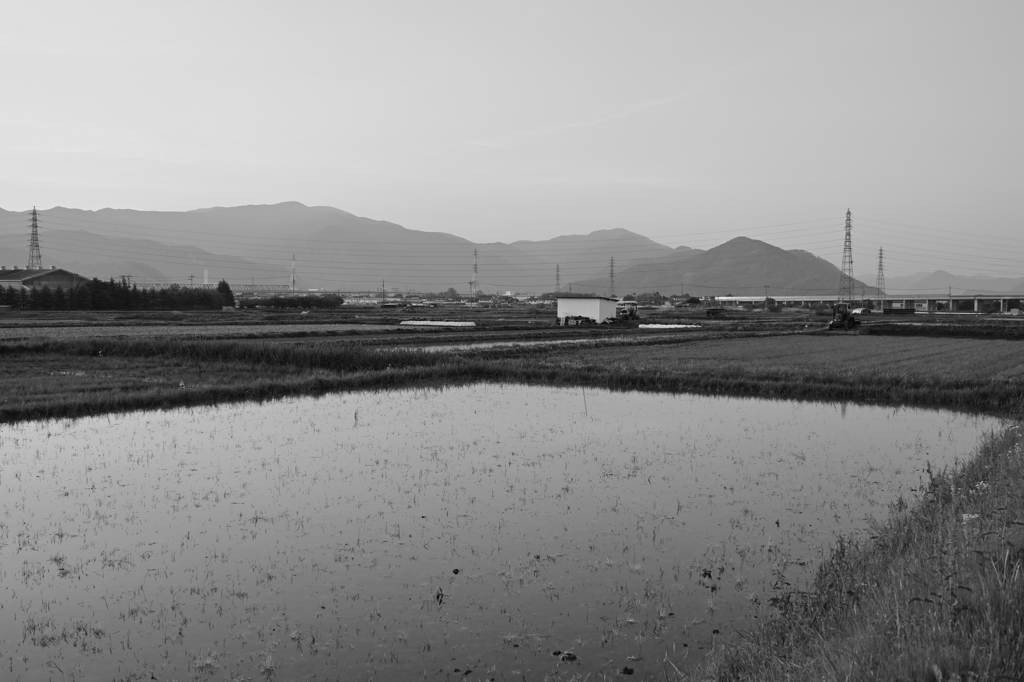 朝には朝の色がある。