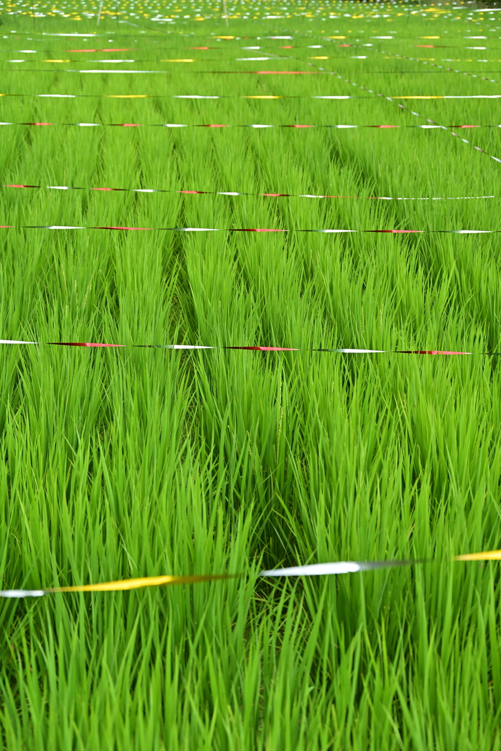 凄い量のビニールテープ。