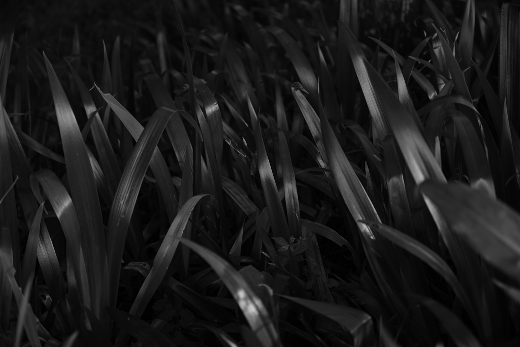 光沢のある波。