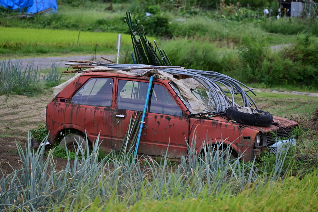 畑の車。
