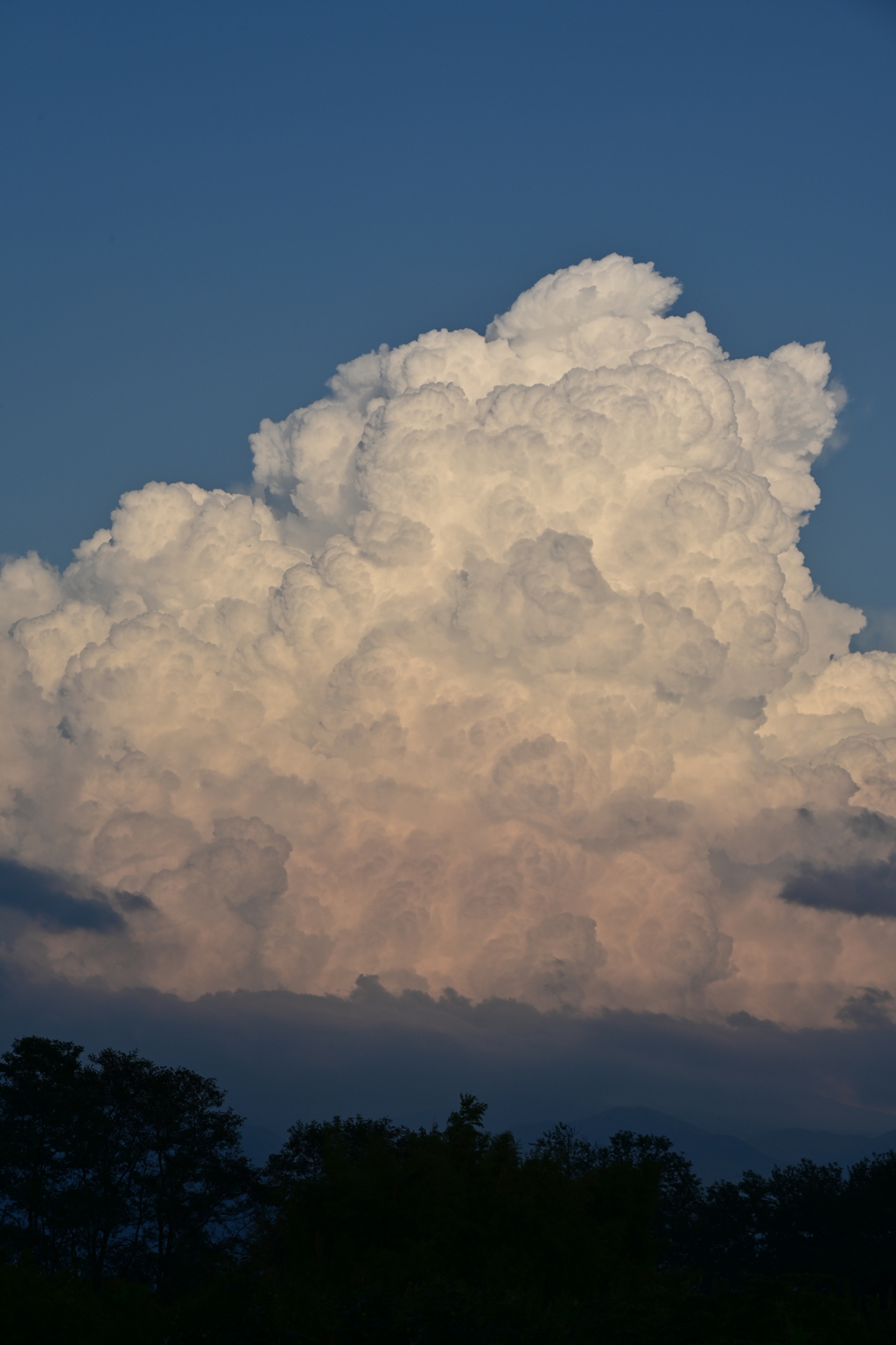 夏雲。