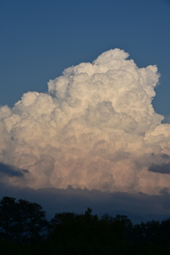 夏雲。