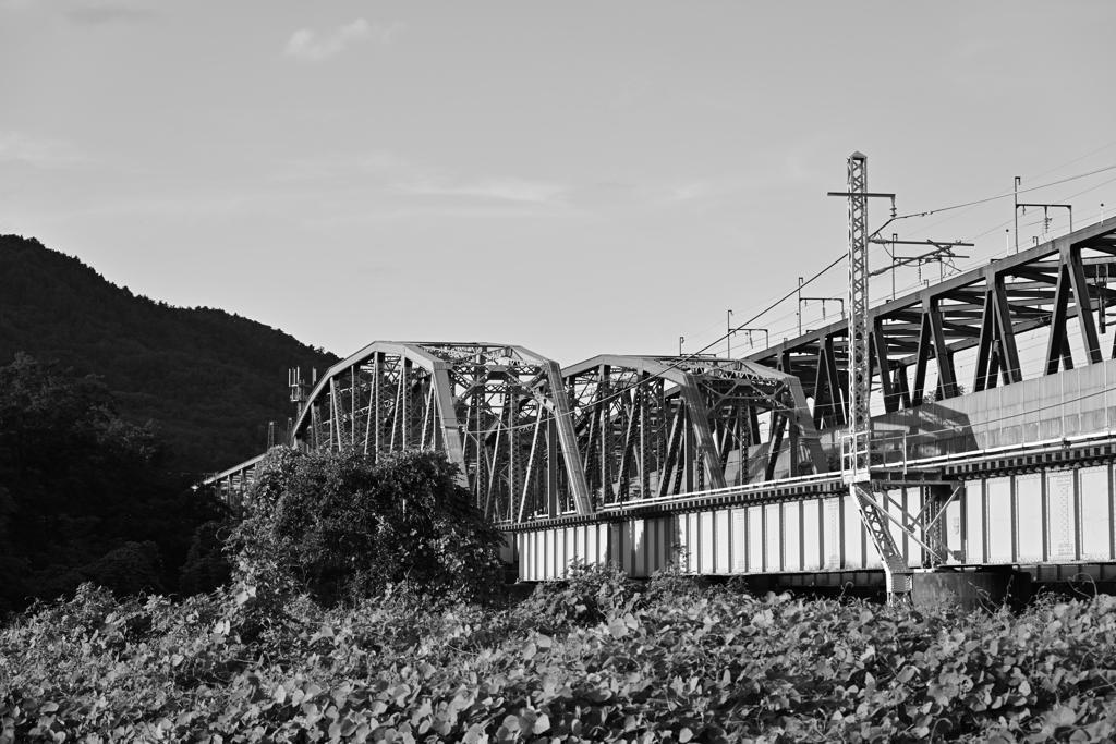 夏の鉄橋。
