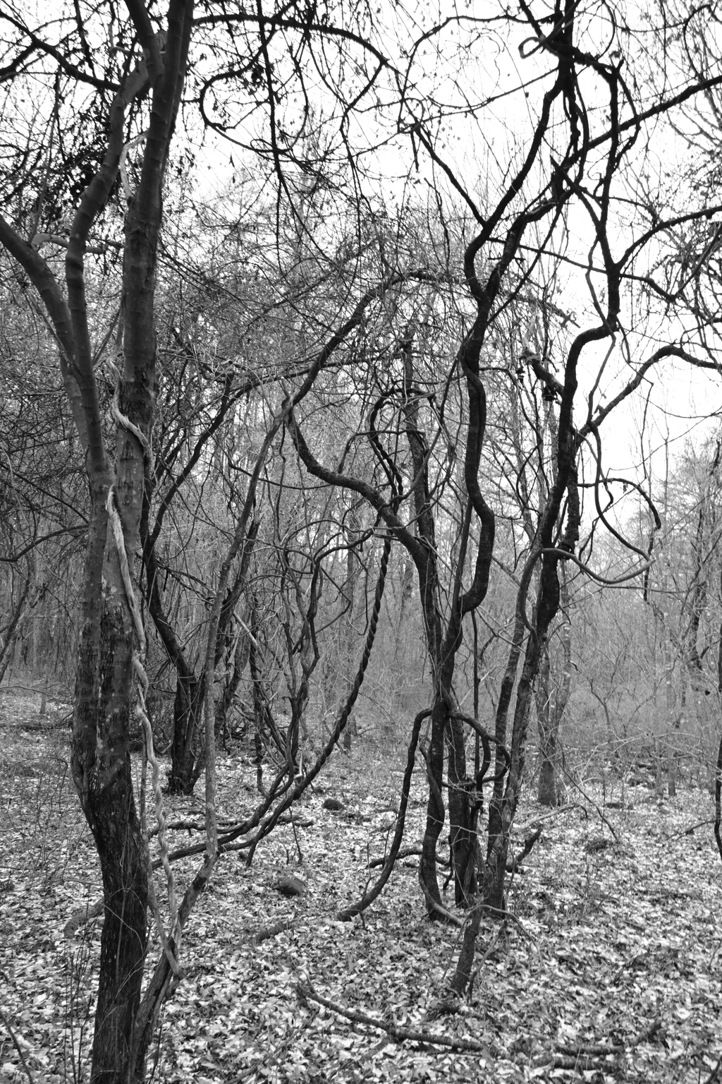 水路を遡って。