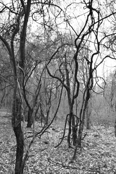 水路を遡って。