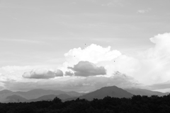 夏の空気。