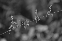 水路を遡って。