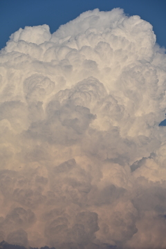 夏雲。