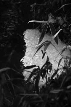 水路を遡って。