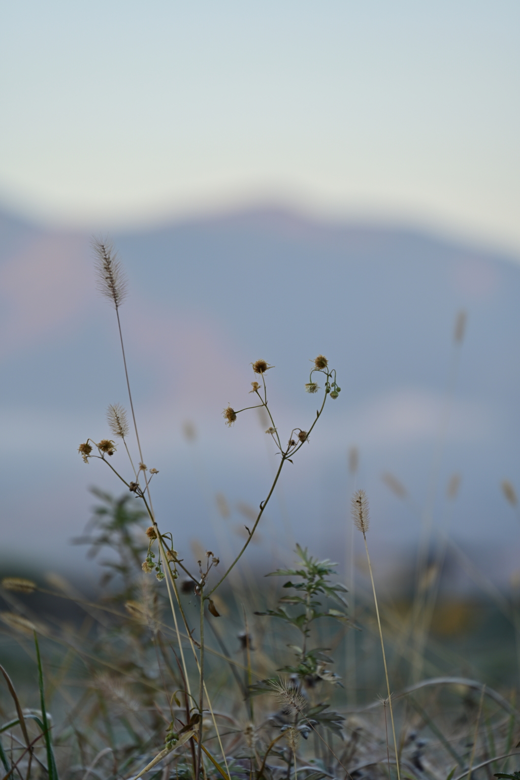 朝焼けバック。