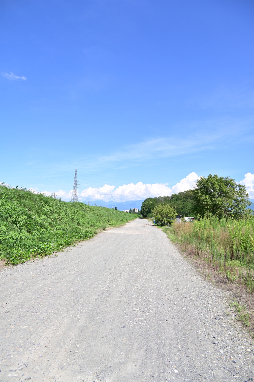 夏の河川敷。
