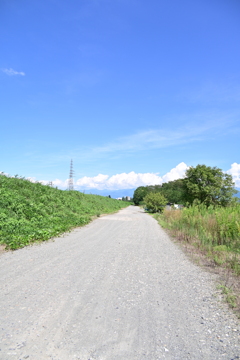 夏の河川敷。