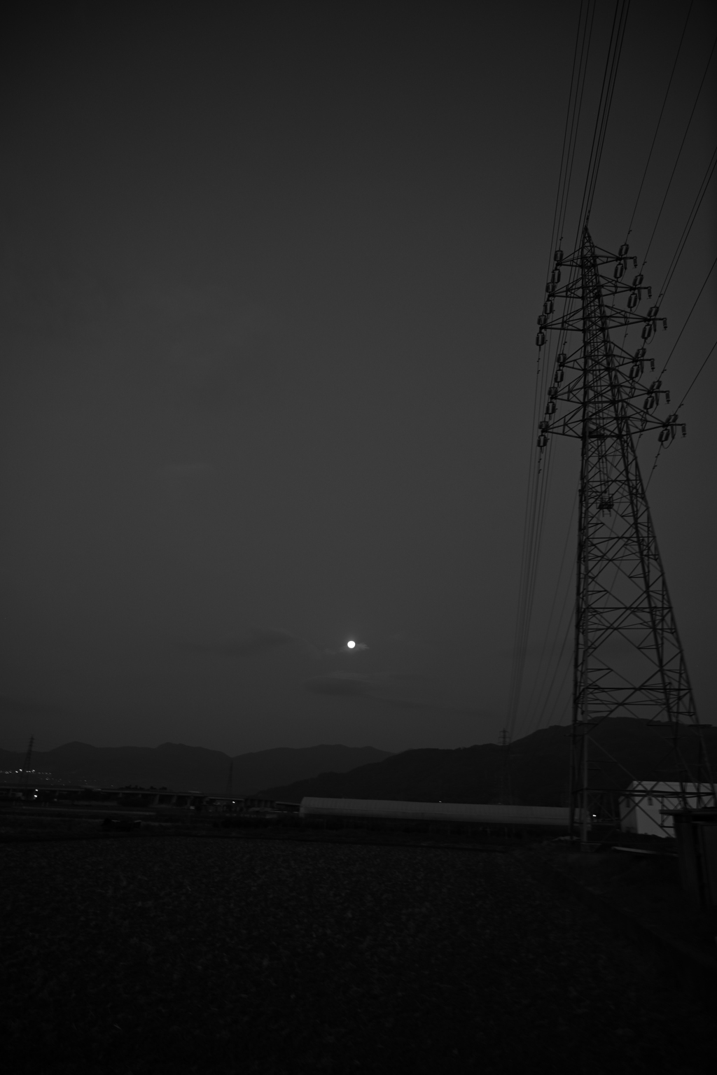 朝には朝の色がある