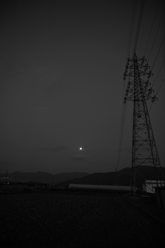 朝には朝の色がある