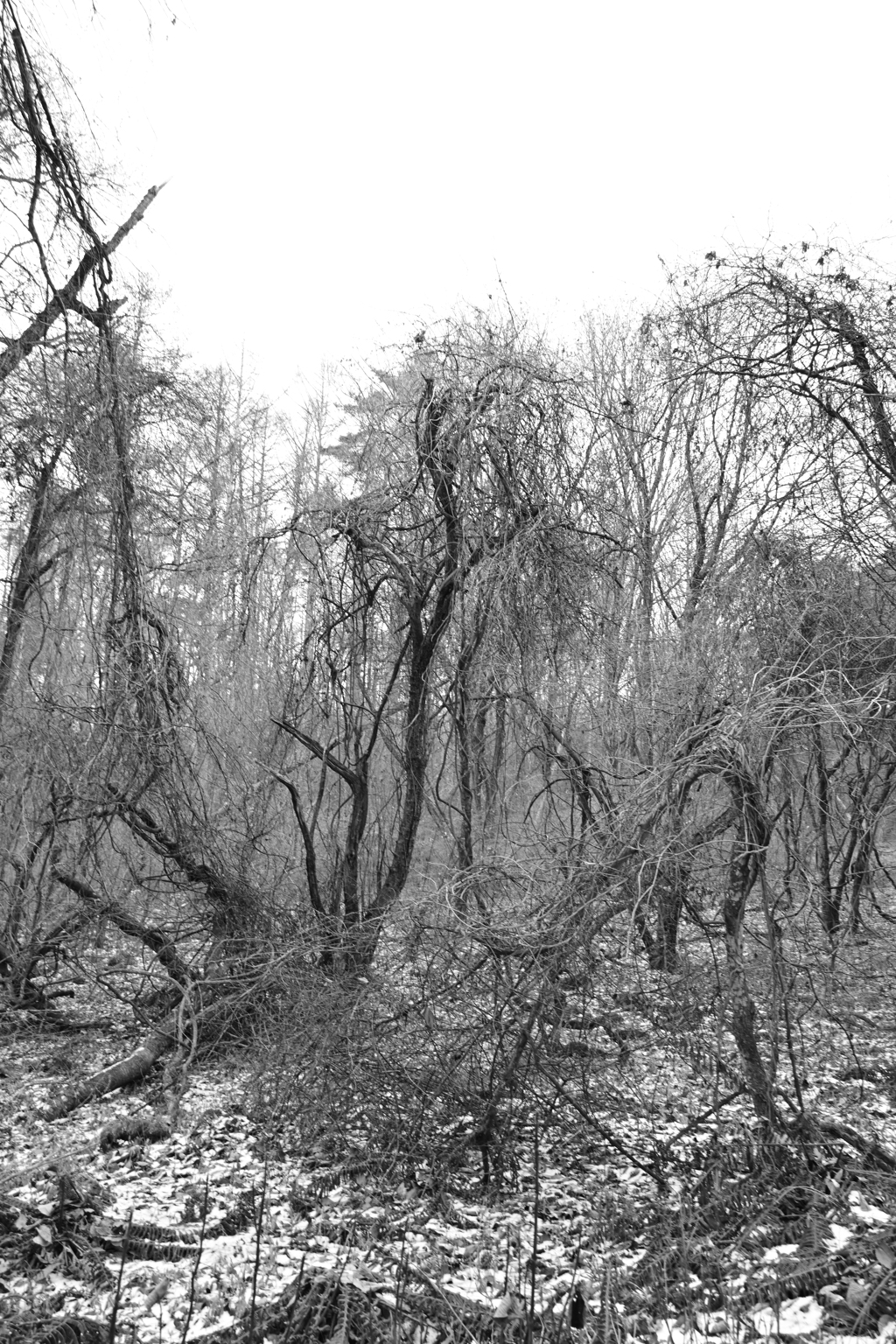 水路を遡って。