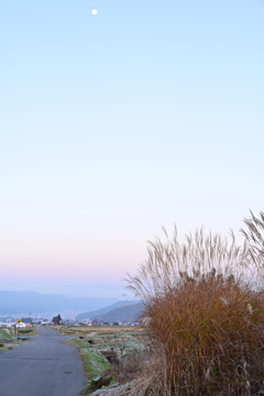 まだ月の残る頃。