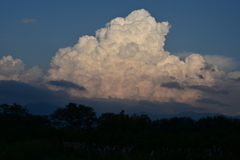 夏雲。