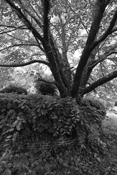 子供の居ない公園。