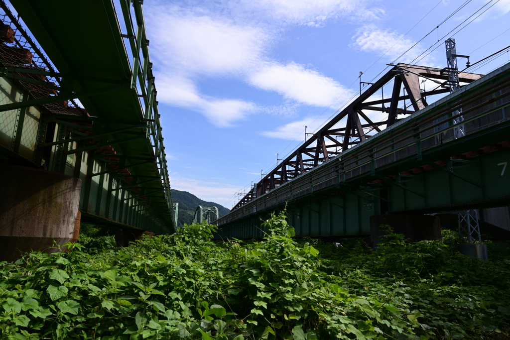 夏の景色。