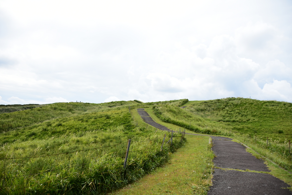 道と緑