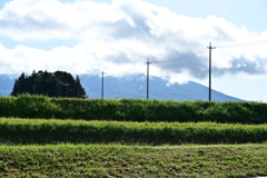 電柱の連続性。