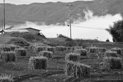 農家のマイクラ。