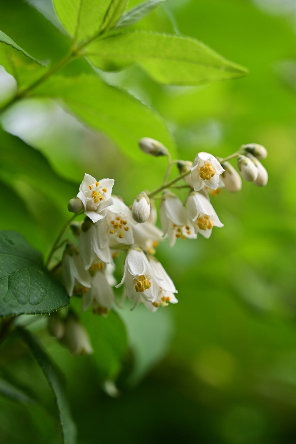 何もないけど、惹きつけられる何か。