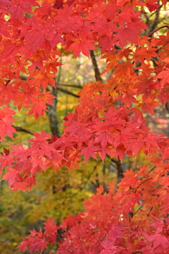 予定外の寄り道。