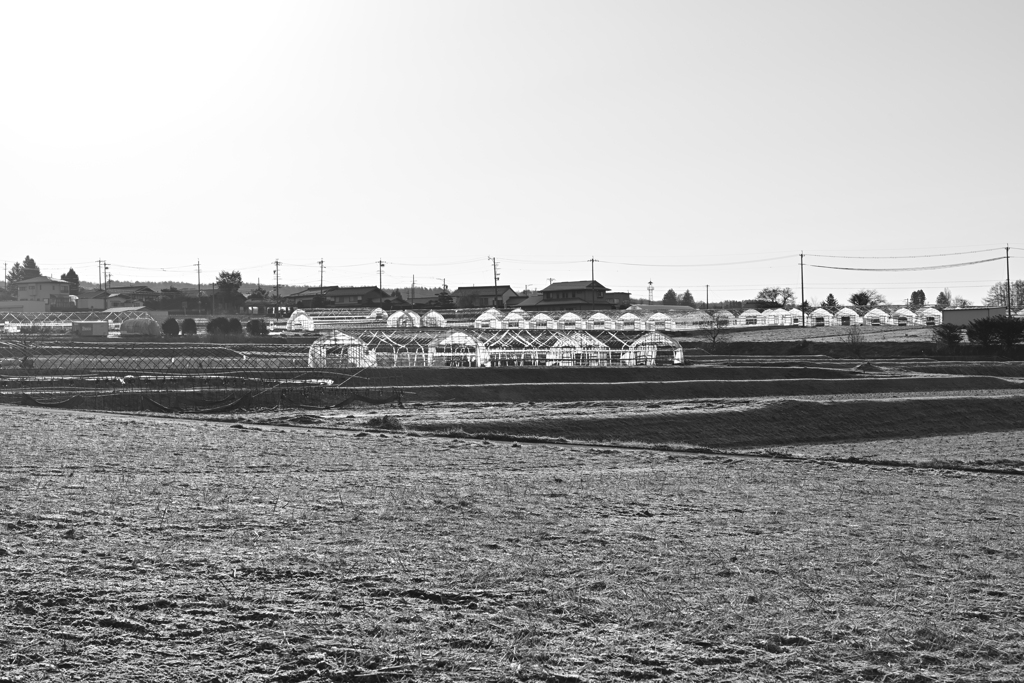 人工物の規則性。