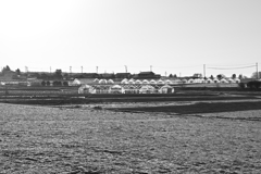 人工物の規則性。