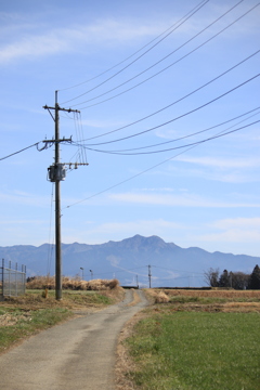 道と電柱と山