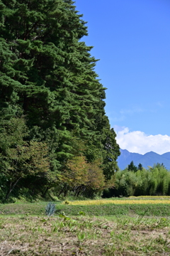 不思議な縮尺。