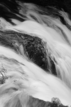 スローシャッター。 スローシャッター。