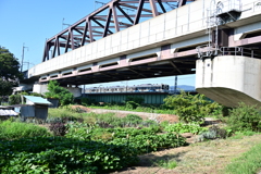 電車。