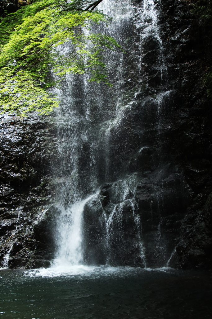 箕面の滝３