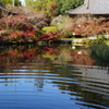 長岳寺の紅葉