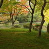 秋の京都植物園