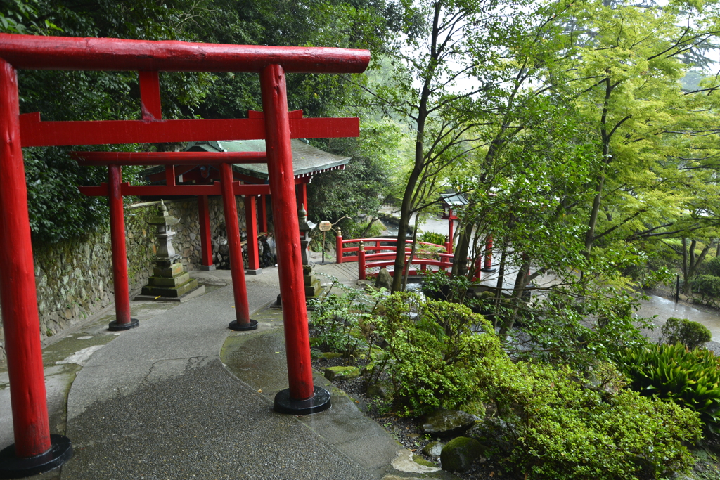 白龍稲荷大神からの風景（海地獄内）