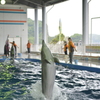 イルカショー