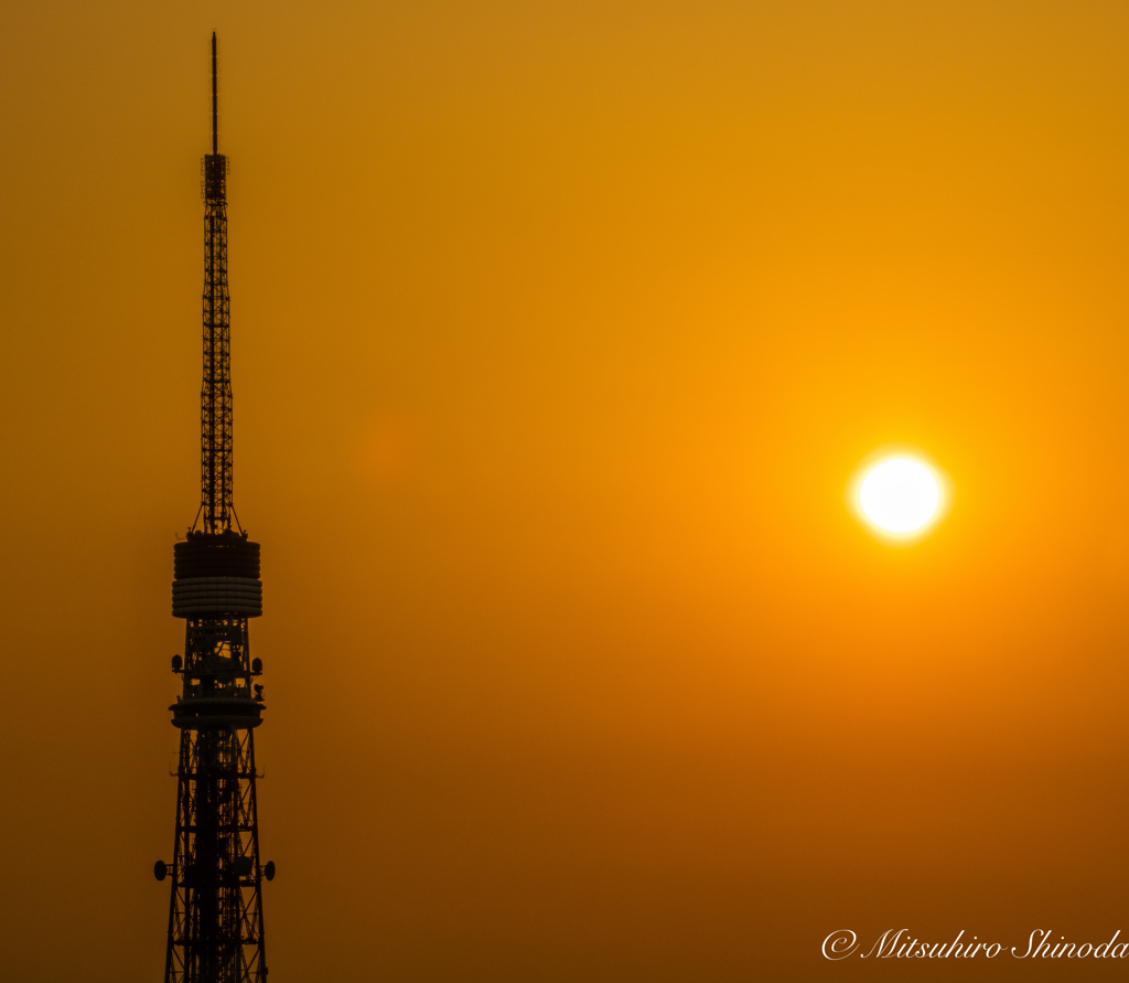 まんまる夕陽ととんがり東京タワー