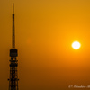まんまる夕陽ととんがり東京タワー