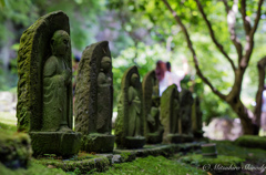 仏様　〜報国寺より〜