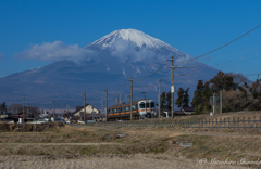 旅の始まり