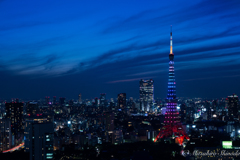 珍しい色の東京タワー