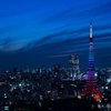 珍しい色の東京タワー