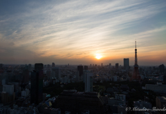 東京の夕景